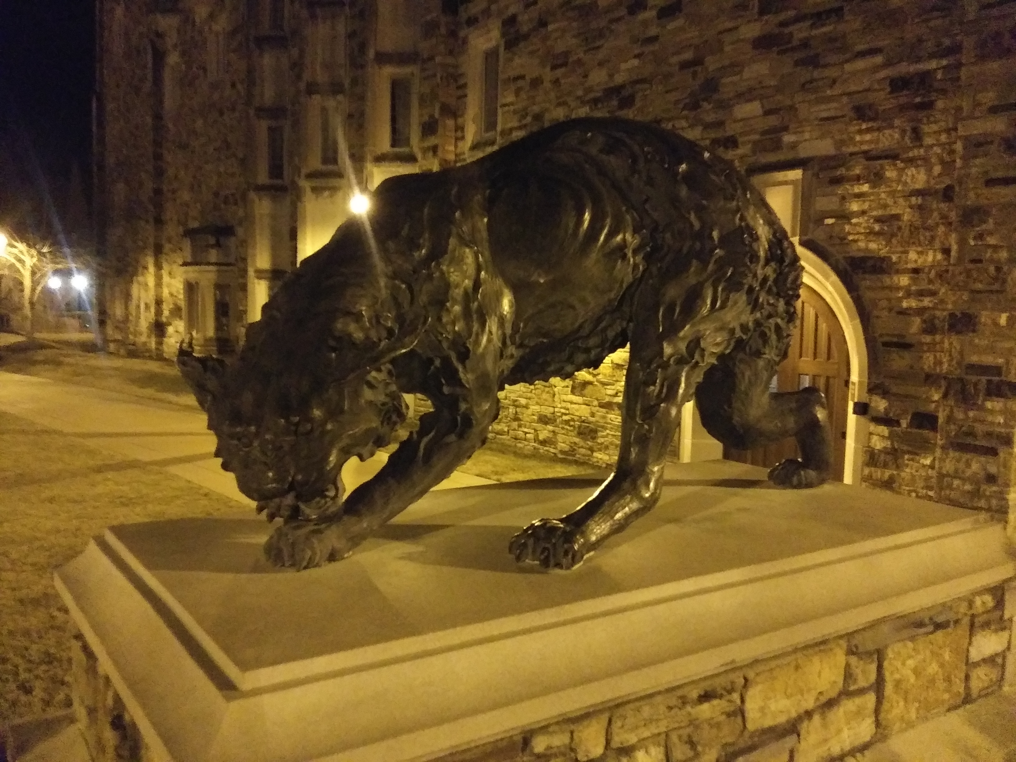 The Lynx - Rhodes College Campus - by David Saks